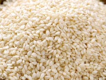 芝麻進口清關沒那么容易請先了解這幾點！