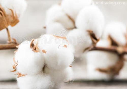 【清關指南】進口棉花清關前一定要準備的資料！