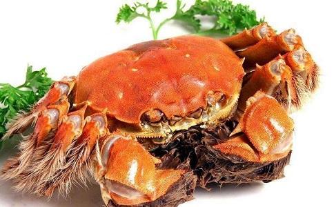 一站式代理螃蟹進口報關清關,快速通關 一站式代理螃蟹進口報關清關,快速通關