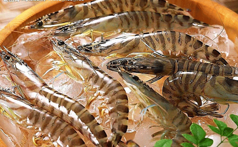 代理海鮮進口清關流程|找專業報關公司