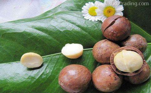 東莞清關公司代理堅果進口報關流程