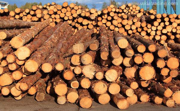 了解木材進(jìn)口報關(guān)注意事項避雷區(qū) 了解木材進(jìn)口報關(guān)注意事項避雷區(qū)