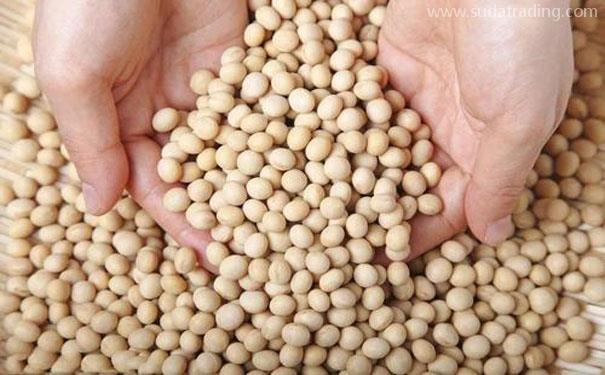 東莞進口清關公司代理印度農產品進口報關流程