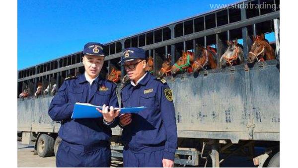 海關如何對商品進行估價？