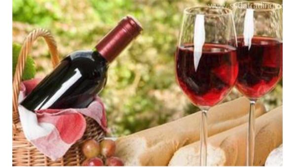 如何從國外進口紅酒？