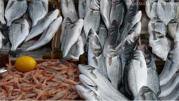 水產(chǎn)品進(jìn)口報關(guān)需要辦理哪些手續(xù)？