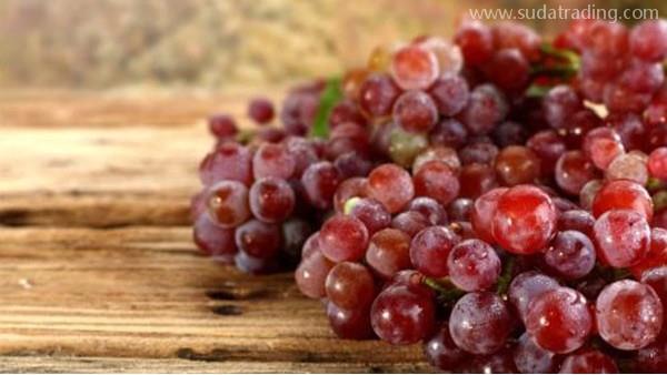 東莞葡萄進口報關(guān)代理注意事項及操作流程