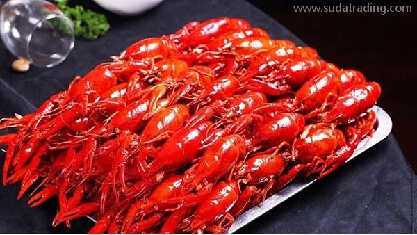 進口龍蝦如何報關？東莞進口報關公司答疑