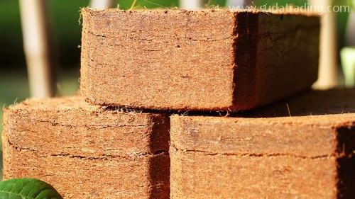 椰糠進口報關流程及所需單證資料