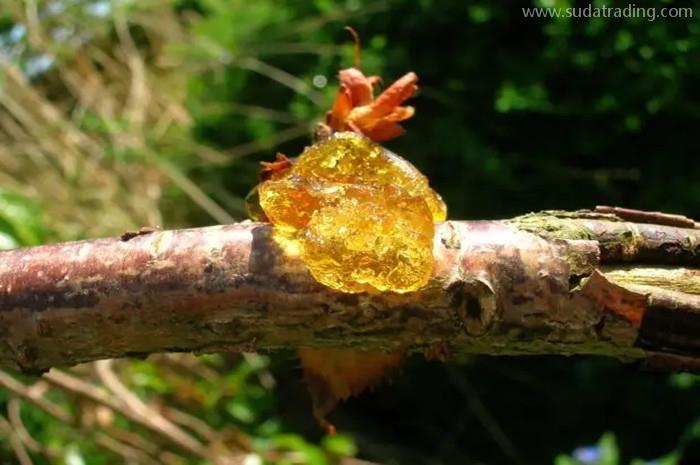 上海樹脂進口報關代理的3個注意事項