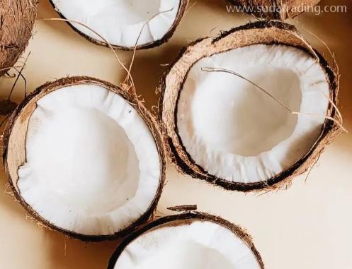 進口椰青注意事項 進口椰青注意事項