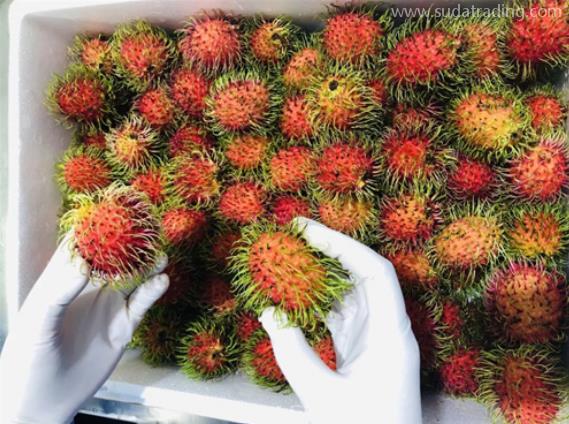 進(jìn)口紅毛丹報(bào)關(guān)單證要求