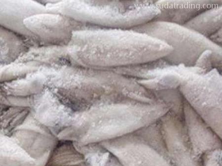 深圳鹽田進口清關冷凍魷魚報檢要求！