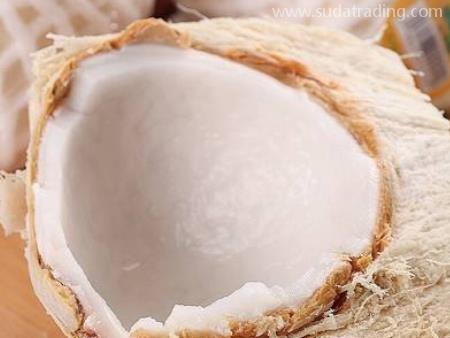 泰國椰青東莞代理報關要點內容！