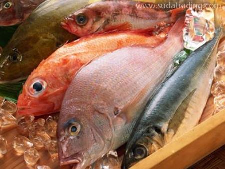 水產品白云機場進口報關代理服務流程！