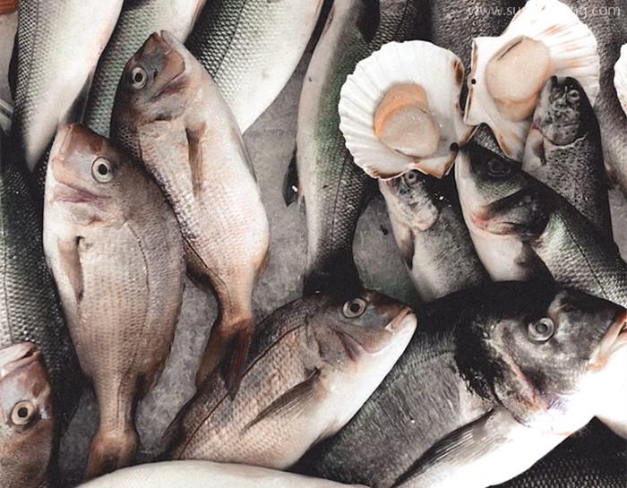 大連進口海鮮清關代理之前,務必要確定好這幾點 大連進口海鮮清關代理之前,務必要確定好這幾點