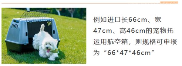 德國進口寵物用品報關(guān)的注意事項