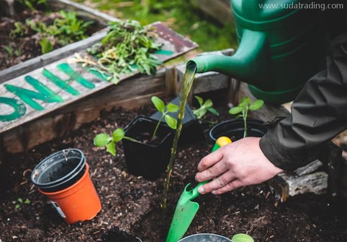 植物培養(yǎng)液進口報關(guān)報檢流程手續(xù)以及資料 植物培養(yǎng)液進口報關(guān)報檢流程手續(xù)以及資料