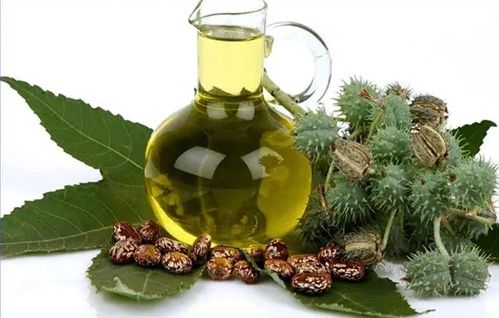 進口印度蓖麻油清關的費用植物油進口準入