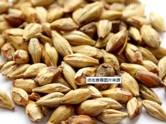 肉豆蔻進口報關(guān)要求 肉豆蔻進口報關(guān)要求