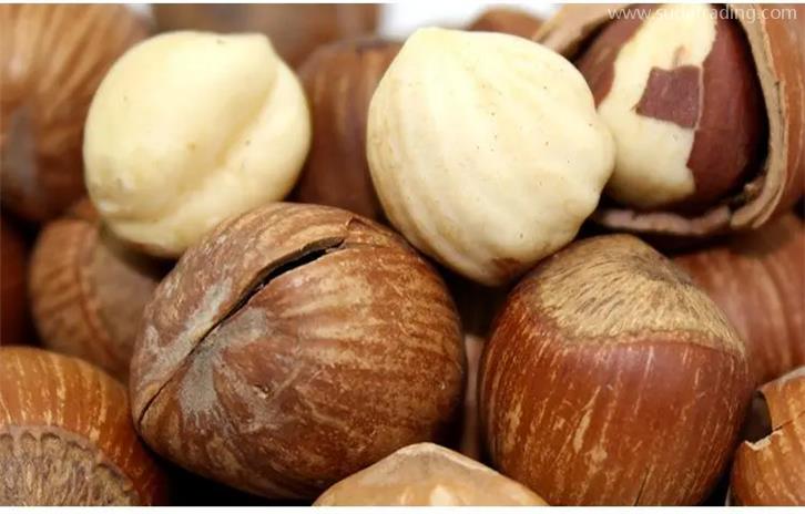 帶殼堅果進(jìn)口清關(guān)需要的資質(zhì)以及資料 帶殼堅果進(jìn)口清關(guān)需要的資質(zhì)以及資料