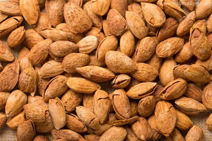 帶殼堅果進(jìn)口清關(guān)需要的資質(zhì)以及資料 帶殼堅果進(jìn)口清關(guān)需要的資質(zhì)以及資料