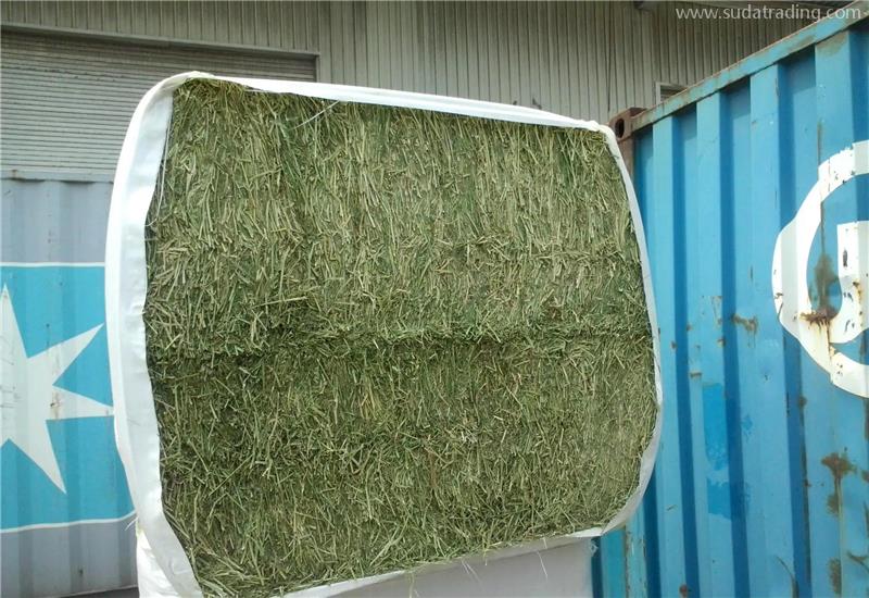 苜蓿草進(jìn)口報(bào)關(guān)代理公司帶你了解進(jìn)口苜蓿草相關(guān)知識(shí) 苜蓿草進(jìn)口報(bào)關(guān)代理公司帶你了解進(jìn)口苜蓿草相關(guān)知識(shí)