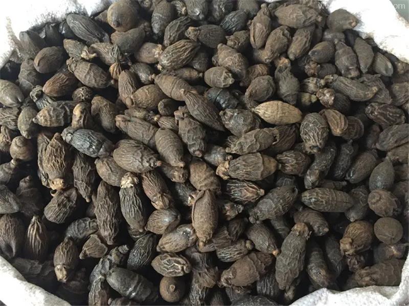 進口馬來西亞干檳榔清關費用是多少 進口馬來西亞干檳榔清關費用是多少