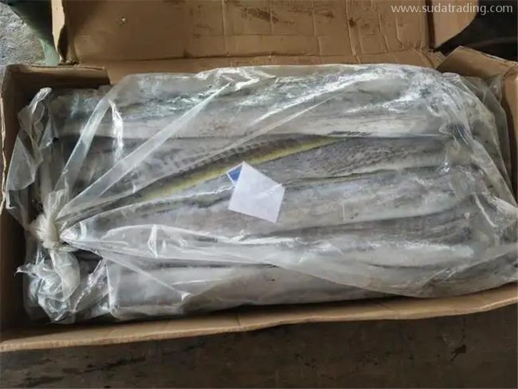 進口印尼冷凍帶魚報關的注意事項，get到了嗎?