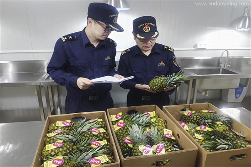 進口印度尼西亞鮮菠蘿報關所需資料以及檢疫要求 進口印度尼西亞鮮菠蘿報關所需資料以及檢疫要求