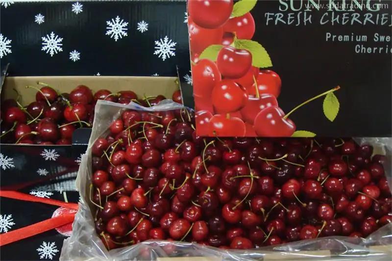 北京水果進口報關公司推薦哪家代理服務 北京水果進口報關公司推薦哪家代理服務