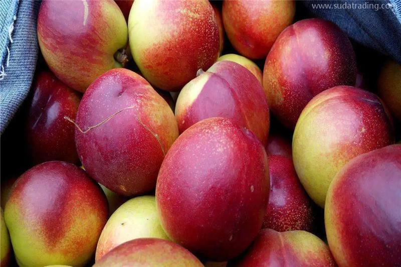 廣州進口澳洲水果報關的流程手續有這4大步 廣州進口澳洲水果報關的流程手續有這4大步