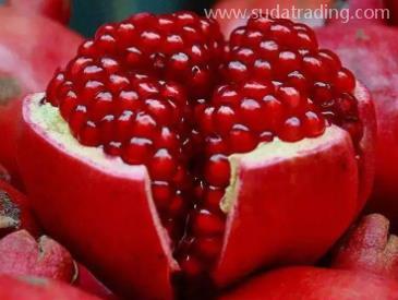 晶圓半導體設備進口報關報檢注意事項