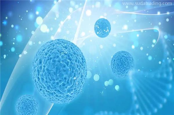 進口干細胞報關(guān)代理應(yīng)該注意的細節(jié)有這些 進口干細胞報關(guān)代理應(yīng)該注意的細節(jié)有這些