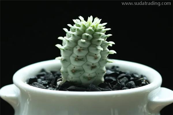 退運貨物申報小技巧，在這里查看！！！