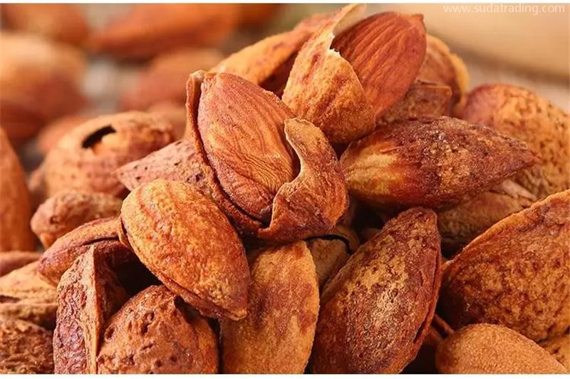 進口巴基斯坦干果報關一般貿易進口服務 進口巴基斯坦干果報關一般貿易進口服務