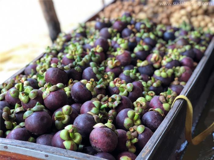 印度尼西亞進(jìn)口山竹報關(guān)的關(guān)稅以及清關(guān)流程