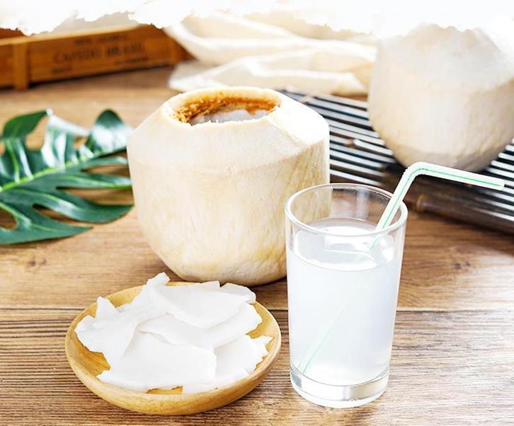 越南椰子進口報關資料廣州椰子進口報關流程手續