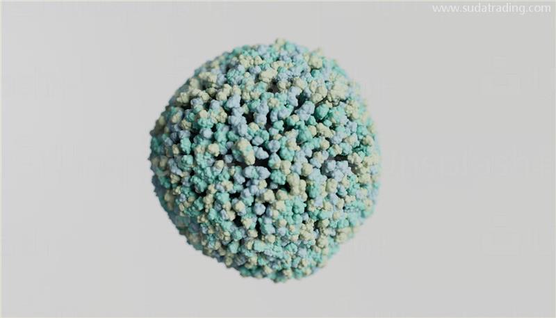 美國細胞進口報關的注意事項生物制品細胞清關流程 美國細胞進口報關的注意事項生物制品細胞清關流程