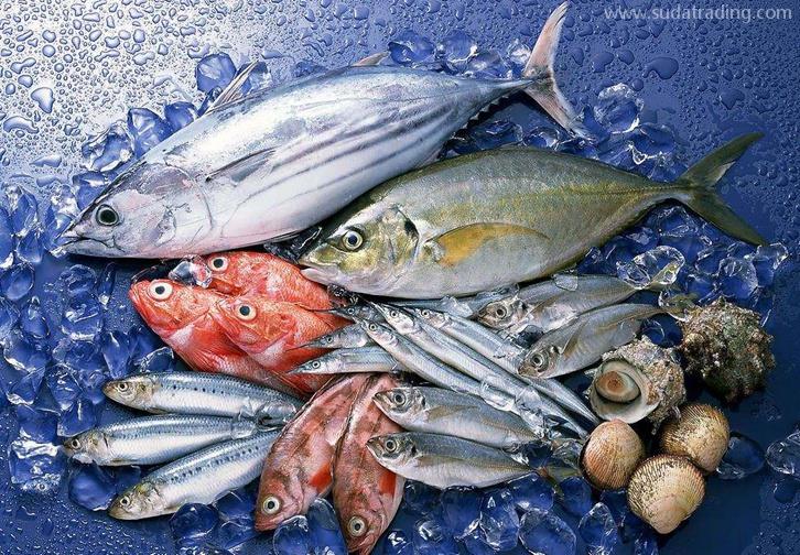 福州海鮮進口清關公司哪家好福建水產品進口報關行