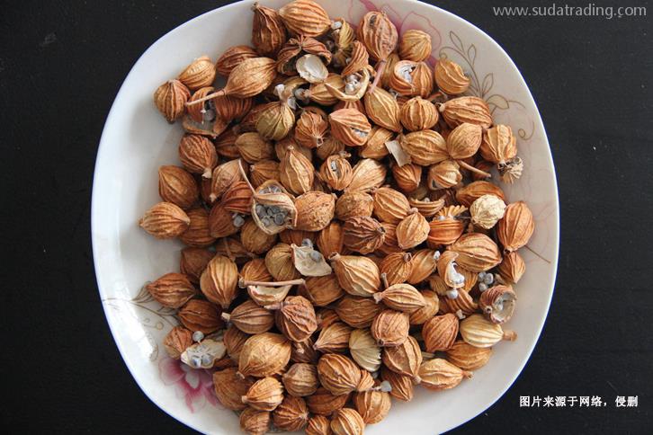 德國豆蔻進口報關(guān)流程香料豆蔻進口準入國家