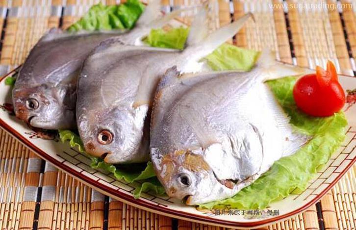 西班牙水產品進口報關資料流程-全國10家分公司