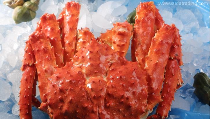 上海進口挪威帝王蟹報關資料7步螃蟹清關流程 上海進口挪威帝王蟹報關資料7步螃蟹清關流程