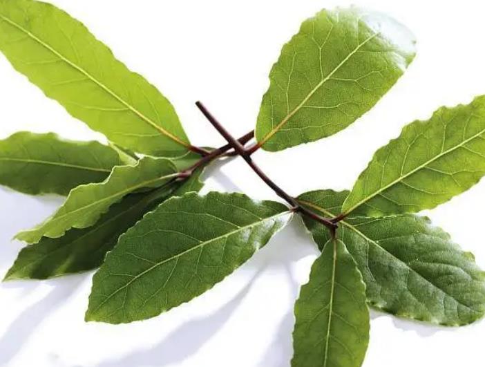 香葉進口報關清關流程 香葉進口報關清關流程