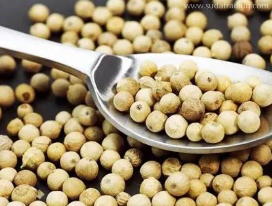 胡椒進口知識話你知 胡椒進口知識話你知