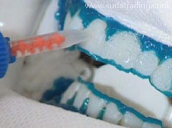 牙本質保護劑進口報關清關知識 牙本質保護劑進口報關清關知識