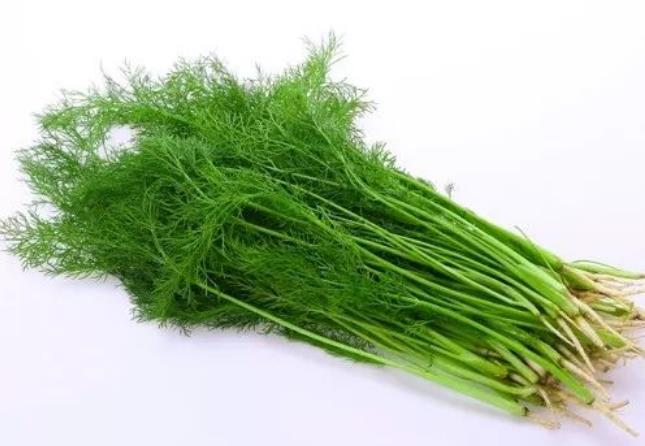 茴香進(jìn)口報(bào)關(guān)清關(guān)流程 茴香進(jìn)口報(bào)關(guān)清關(guān)流程