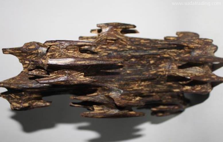 沉香進口報關清關流程詳解