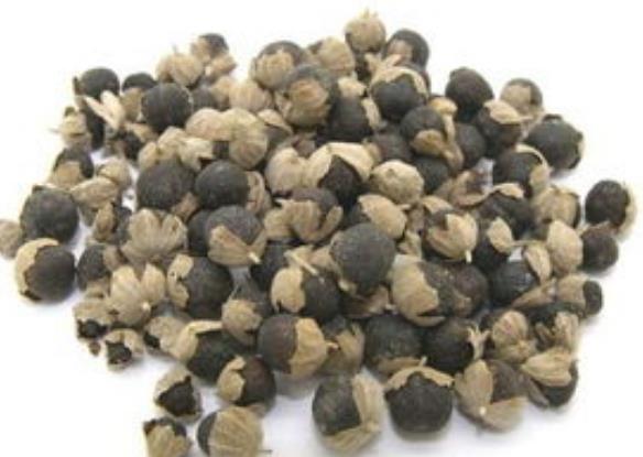 蔓荊子進(jìn)口報(bào)關(guān)清關(guān)流程 蔓荊子進(jìn)口報(bào)關(guān)清關(guān)流程