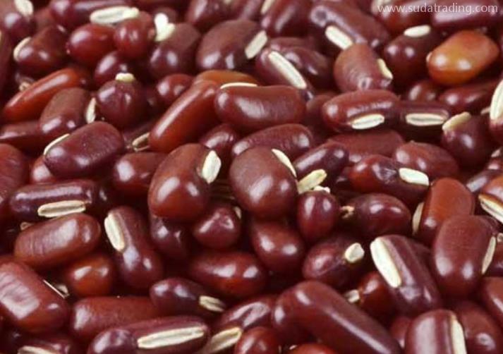 赤小豆進(jìn)口報關(guān)清關(guān)流程話你知 赤小豆進(jìn)口報關(guān)清關(guān)流程話你知